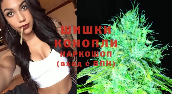 прущая мука Богданович
