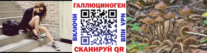 Псилоцибиновые грибы Psilocybine cubensis  Купить  Ельня 