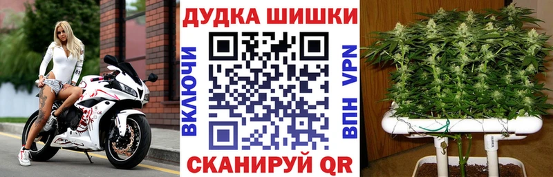 Купить закладки  Ельня  Марихуана сатива 